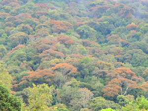 book a tour to chinnar